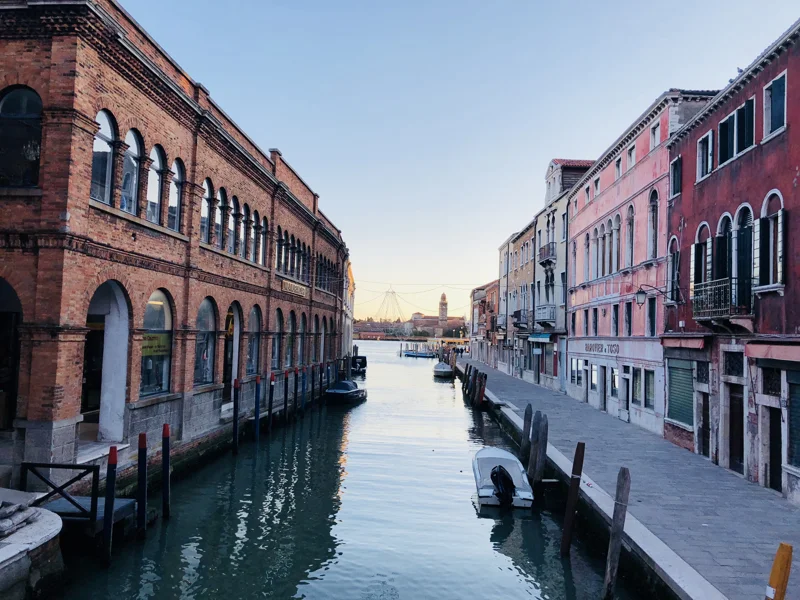 Gallery preview photo 4